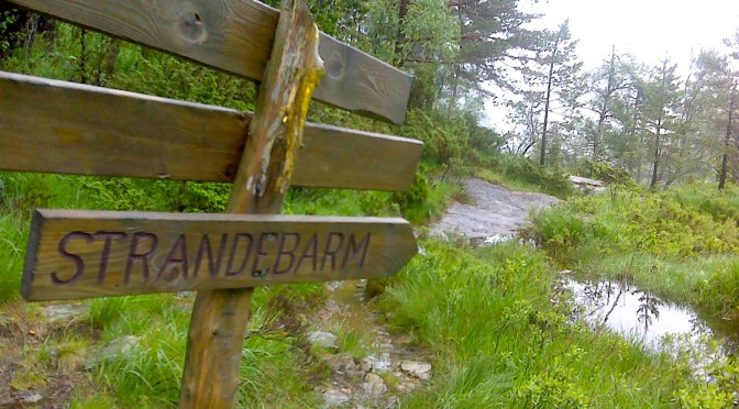 Bergensleden Røldal | Etappe 3