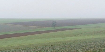 TIl fots fra Nidaros til Santiago